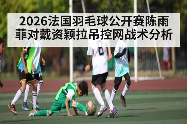 2026法国羽毛球公开赛陈雨菲对戴资颖拉吊控网战术分析 | c7c7.vip，c7c7.app