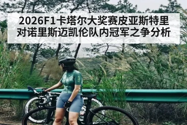 2026F1卡塔尔大奖赛皮亚斯特里对诺里斯迈凯伦队内冠军之争分析 | c7c7.vip，c7c7.app